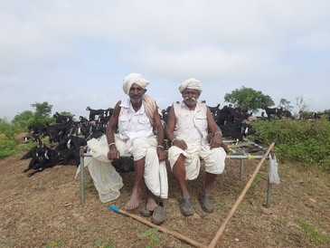 Maldhari people 