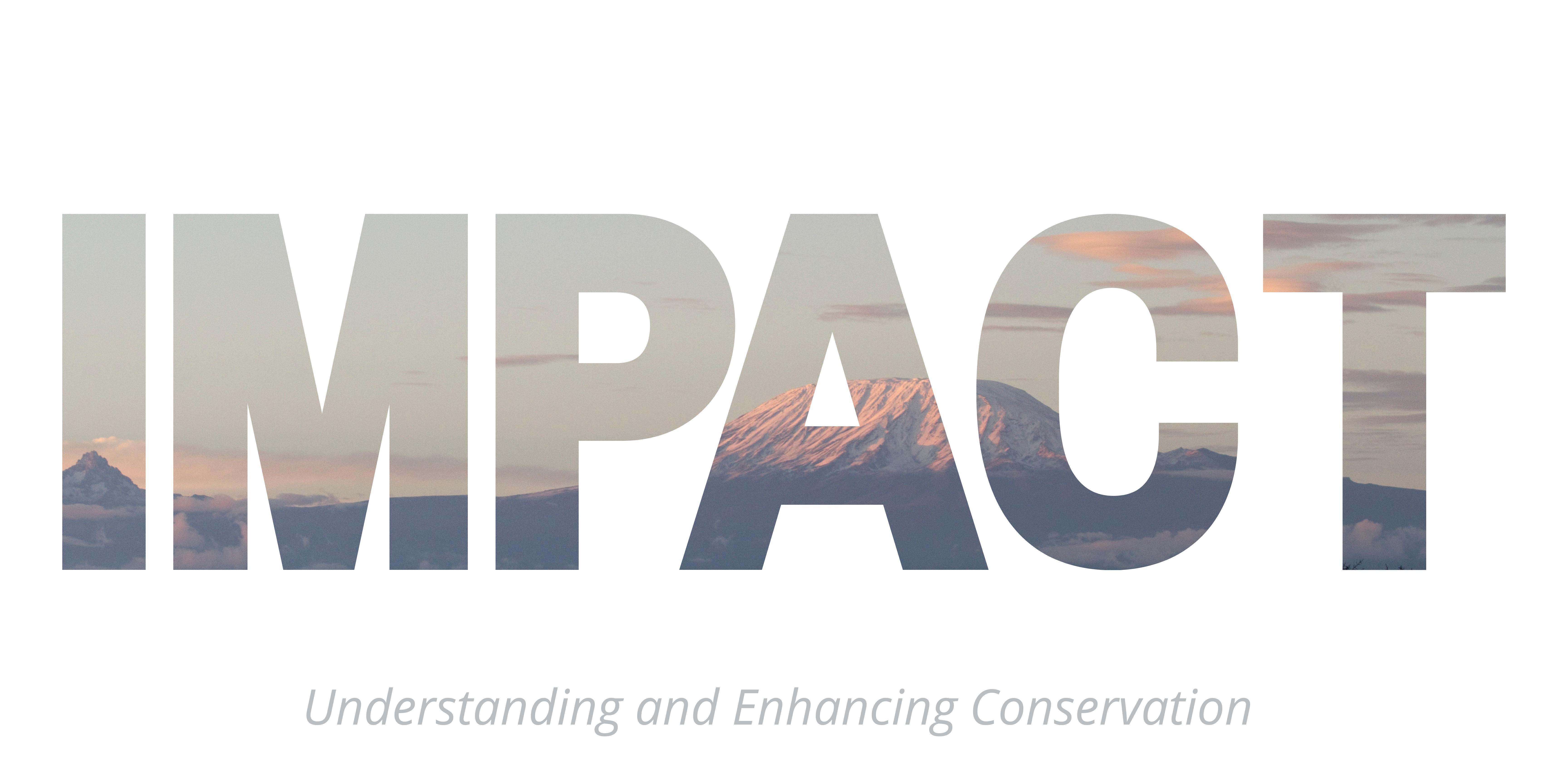 Impact Impact